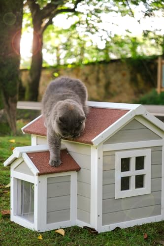 Weatherproof Outdoor Cat House B706921