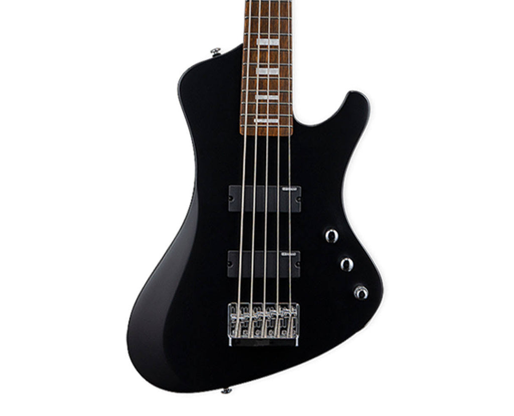 5 String Bass Guitar F8704