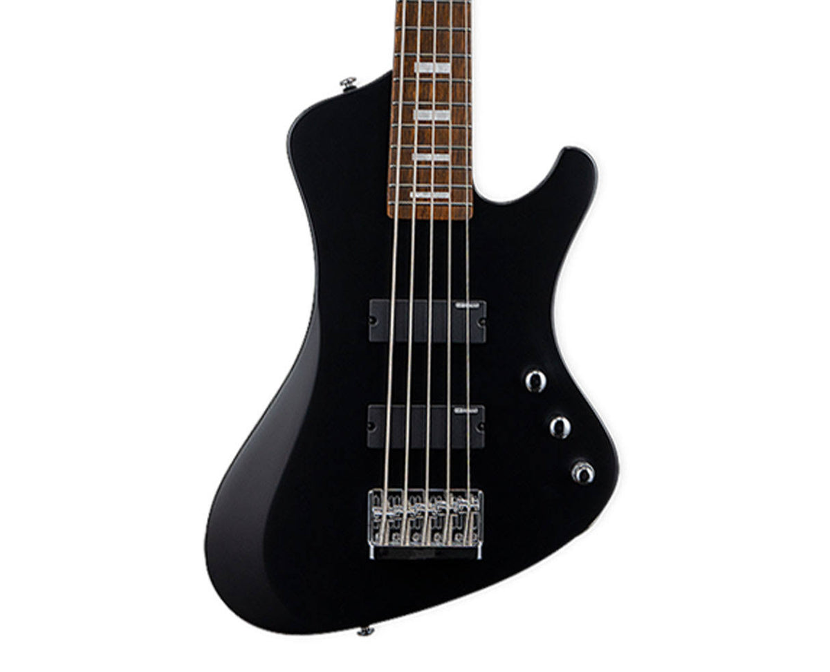5 String Bass Guitar F8704