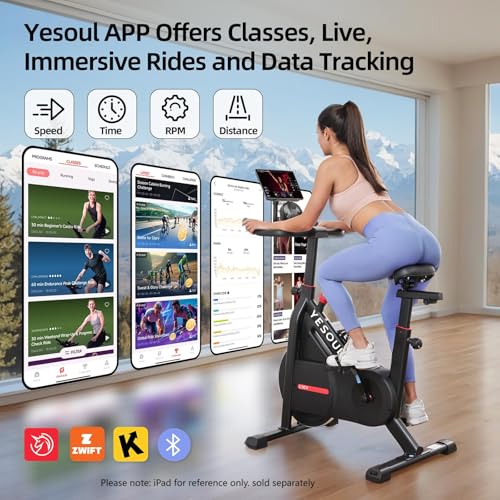 Self-Powered Exercise Bike with Magnetic Resistance W227306