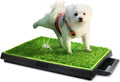 25''x20'' Artificial Turf Dog Toilet with Removable Waste Tray D49867