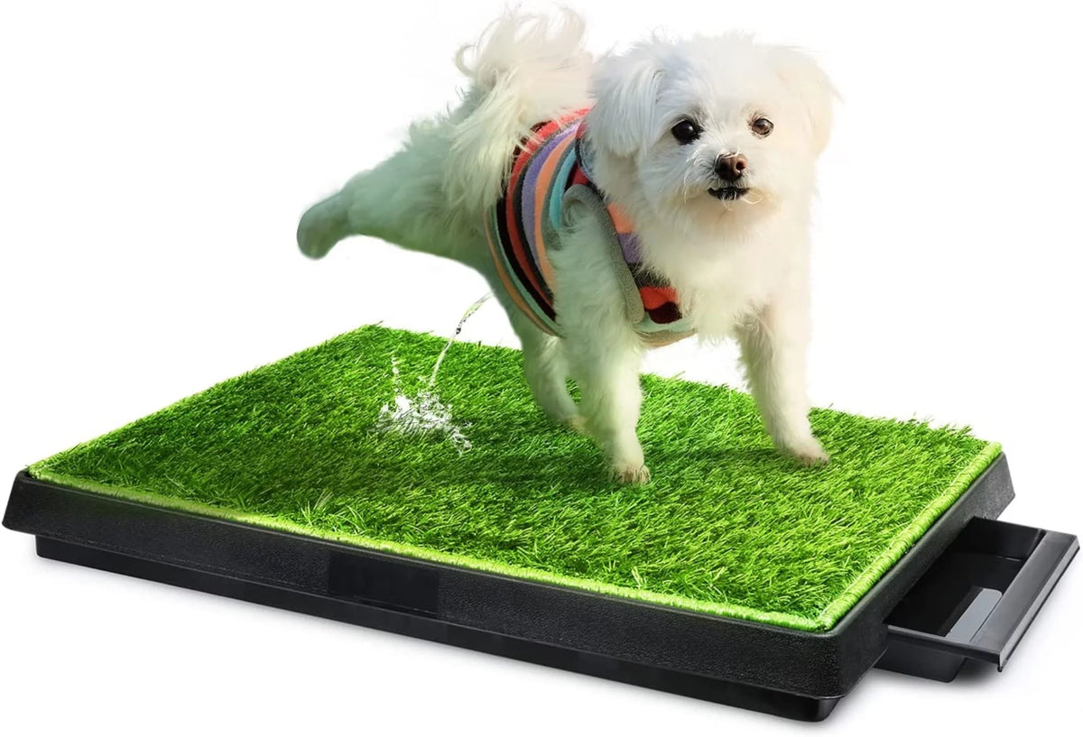 25''x20'' Artificial Turf Dog Toilet with Removable Waste Tray D49867