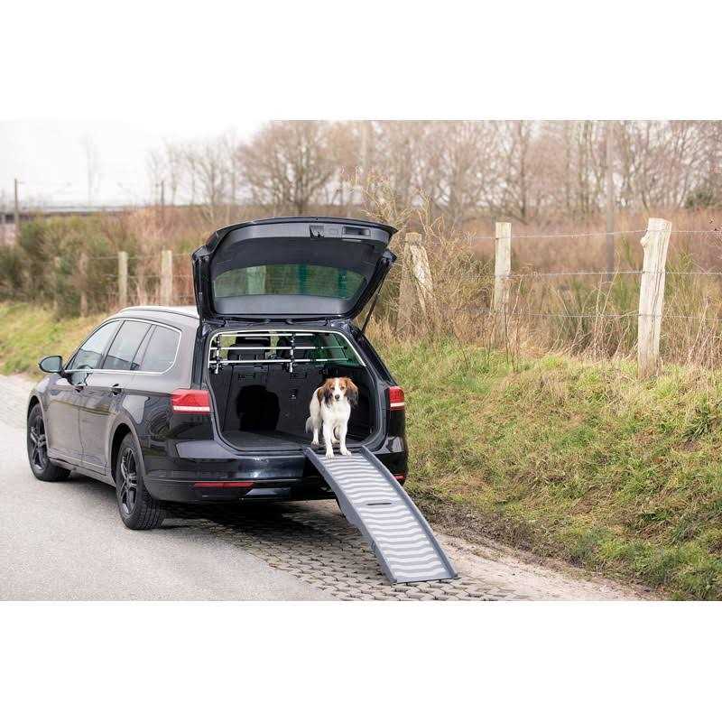 Portable Pet Ramp V4287