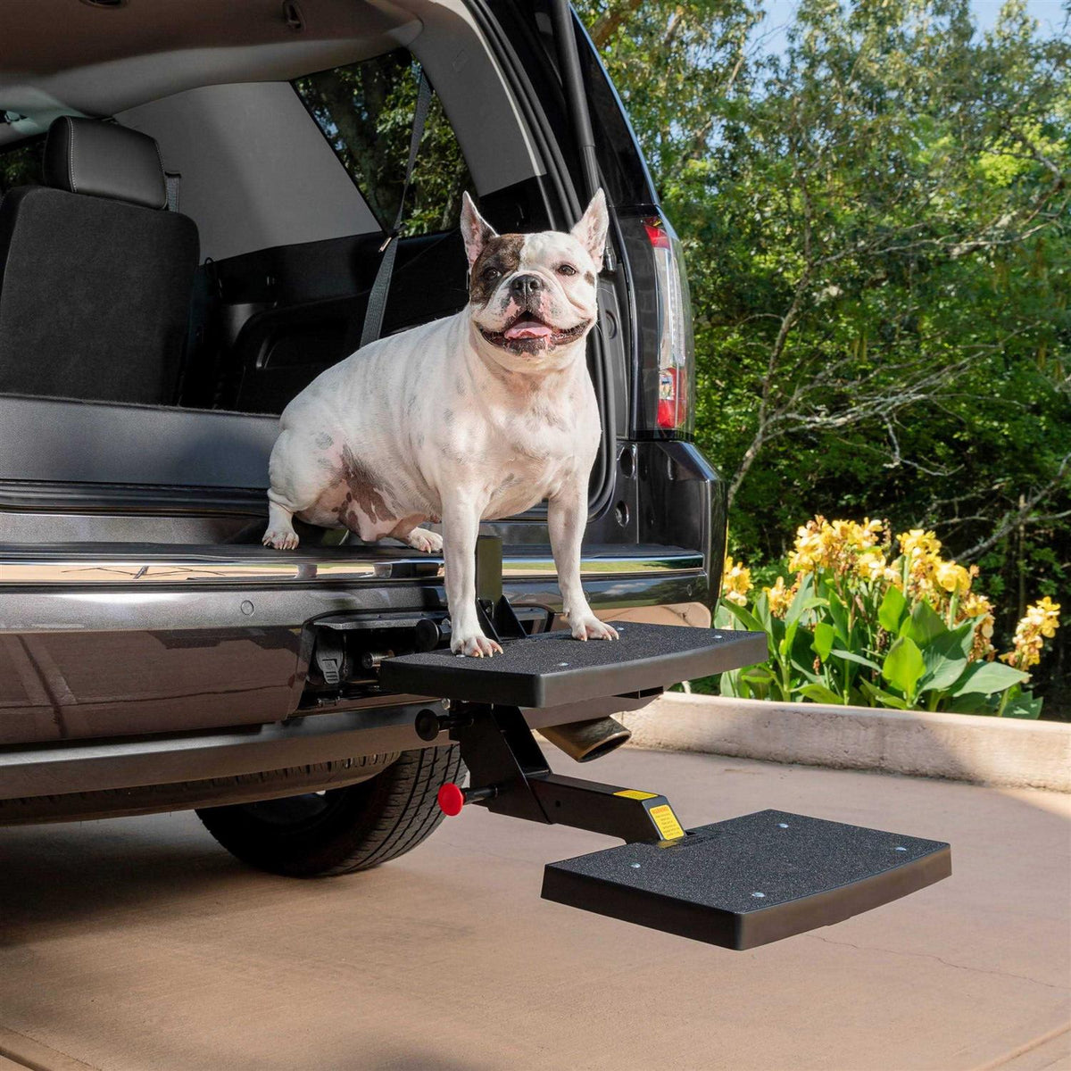 Dog Hitch Step U5560