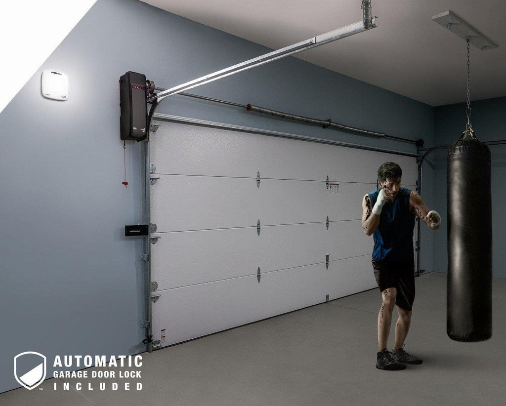 Jackshaft Garage Door Operator, WiFi C483
