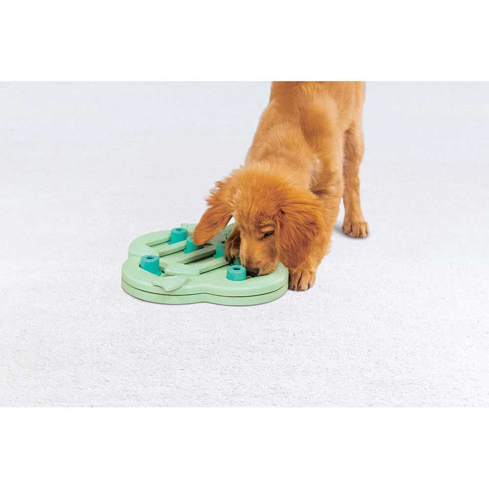 Interactive Treat Puzzle Dog Toy H838