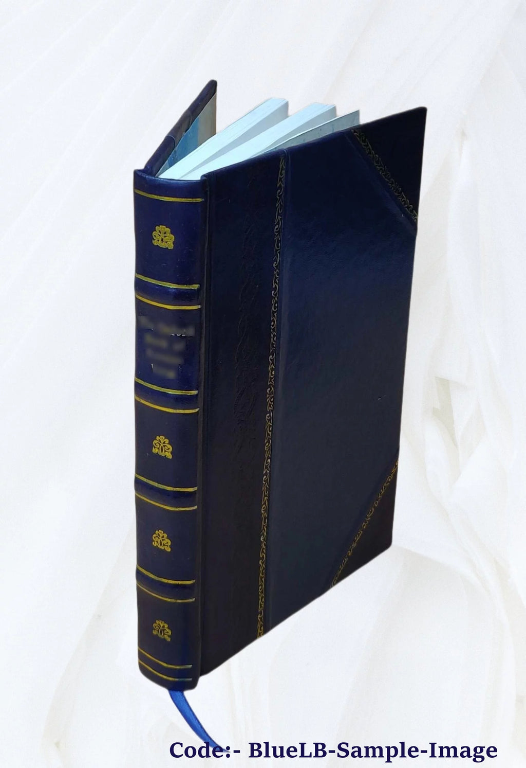 Illustrated Catalogue Leather Bound I56644