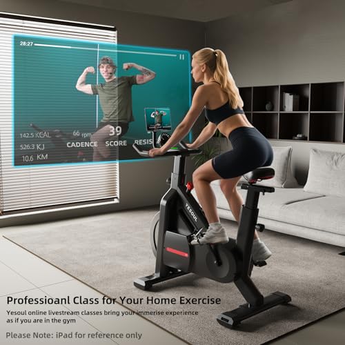 Self-Powered Exercise Bike with Magnetic Resistance W227306