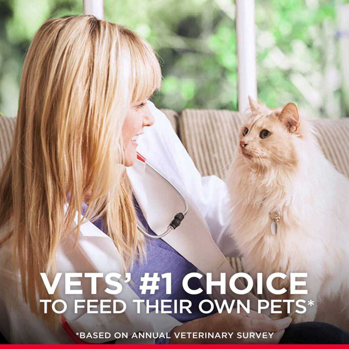 Indoor Kitten Dry Food J7758