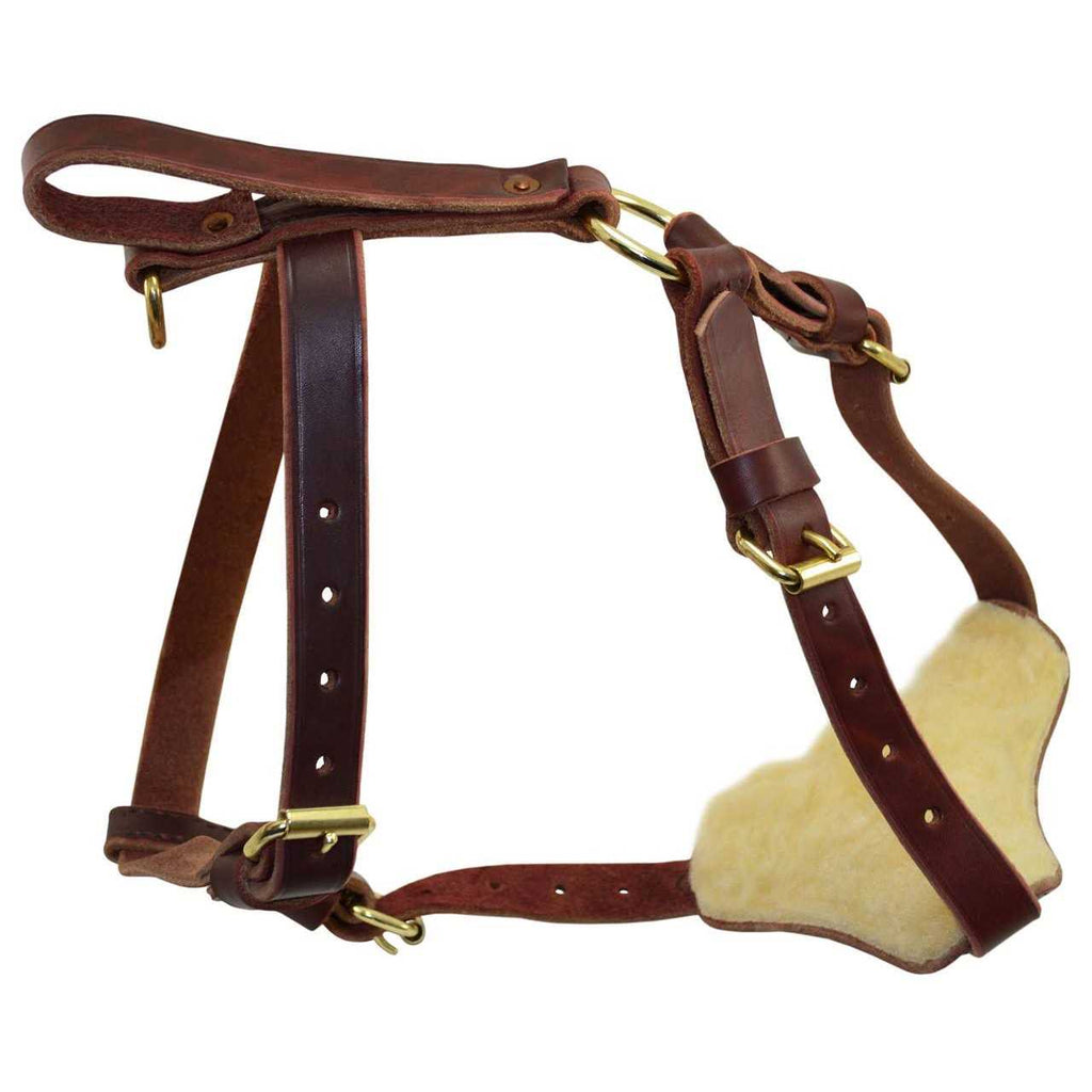 Leather Tracking Harness M7059