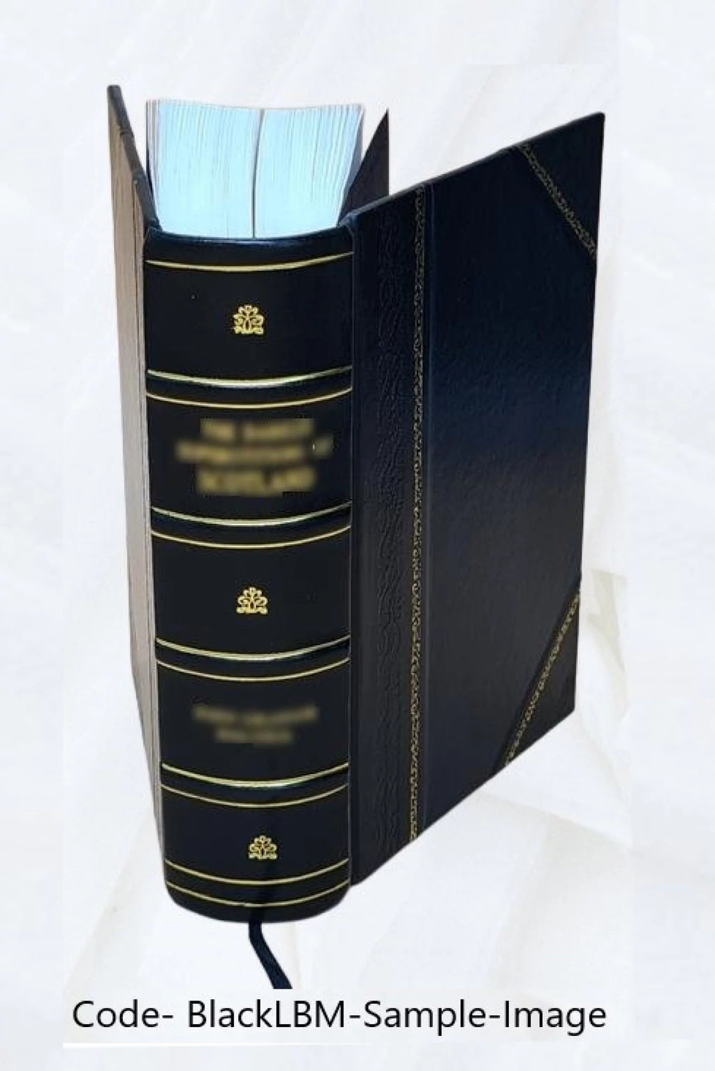 Leather Bound Book B66910