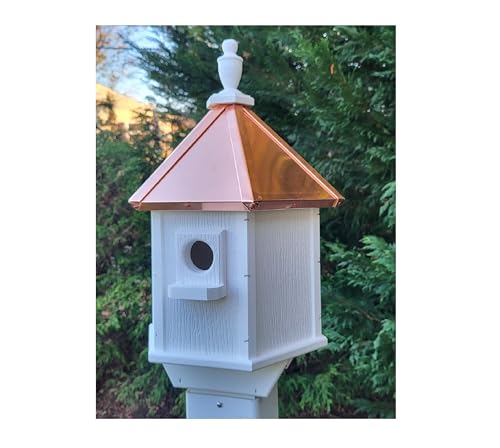 2 Holes Copper Roof Birdhouse With Individual Perches C8232