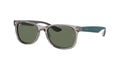 Grey Sunglasses G3388
