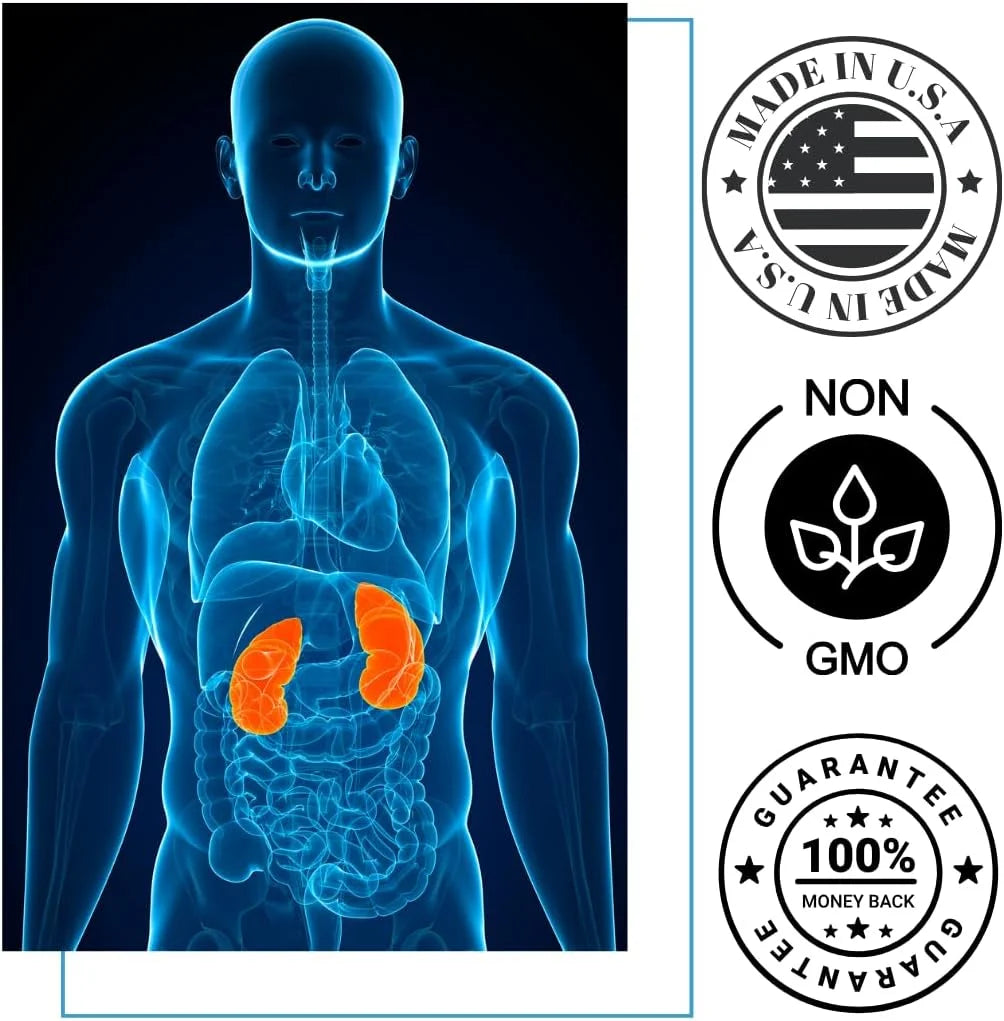 Kidney Support Supplement I859