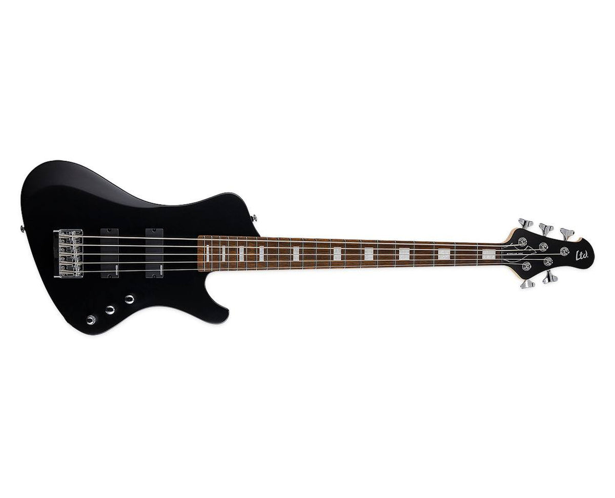 5 String Bass Guitar F8704