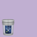 Interior Paint (5-Gallon) L541313
