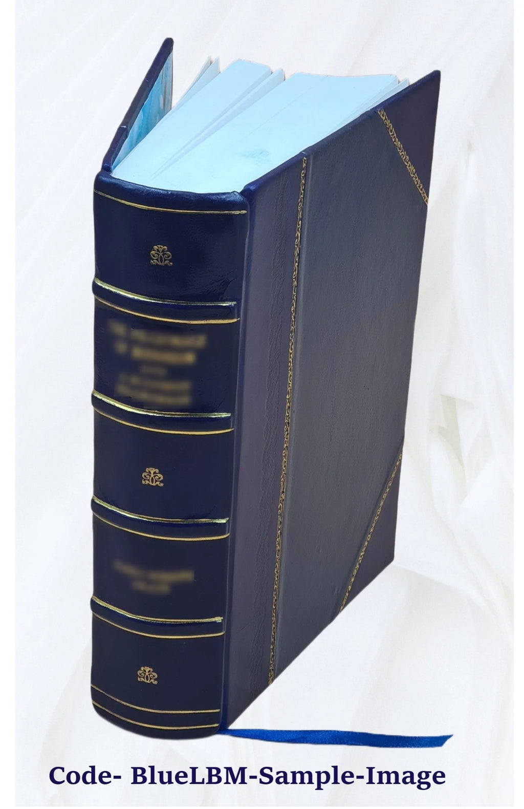 Leather Bound Book B66910