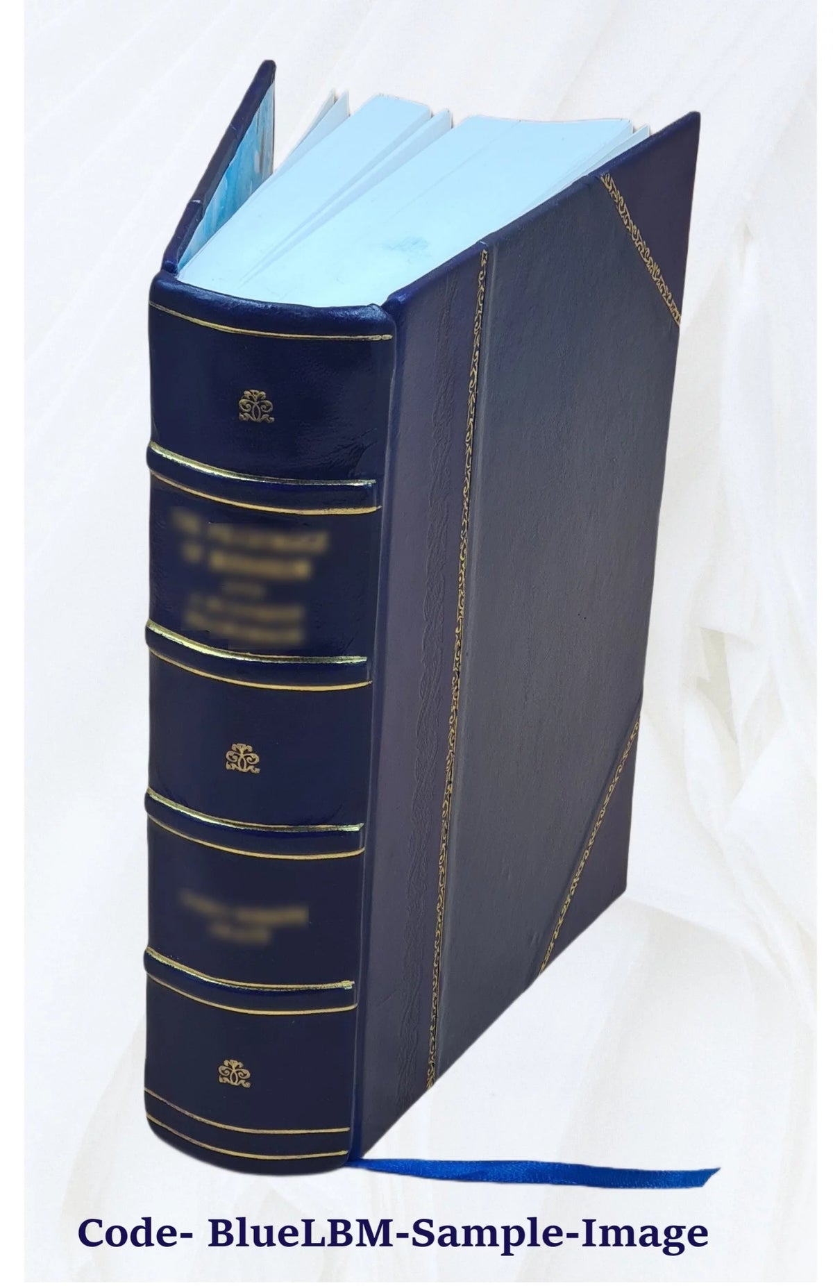 Leather Bound Book B66910