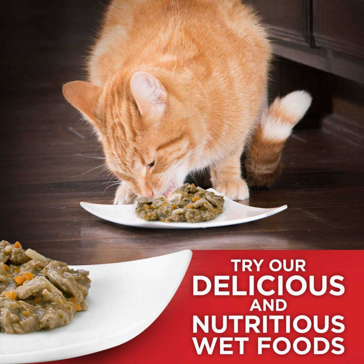 Indoor Kitten Dry Food J7758