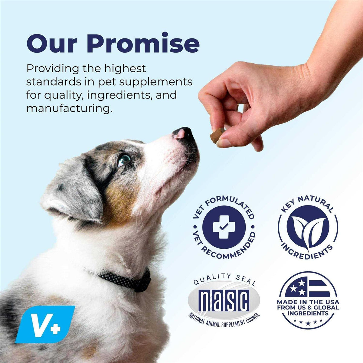 Supplement for Senior Dogs T51146