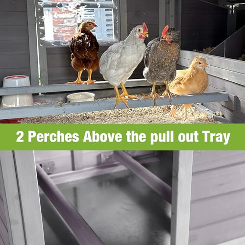 Chicken Coop with Nesting Box Waterproof Duck Coop C56375