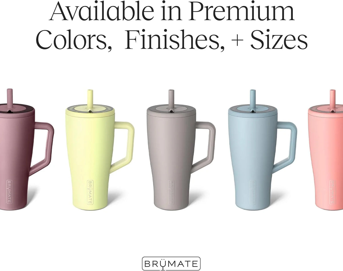 30 oz Stainless Steel Tumbler with Handle and Straw I195