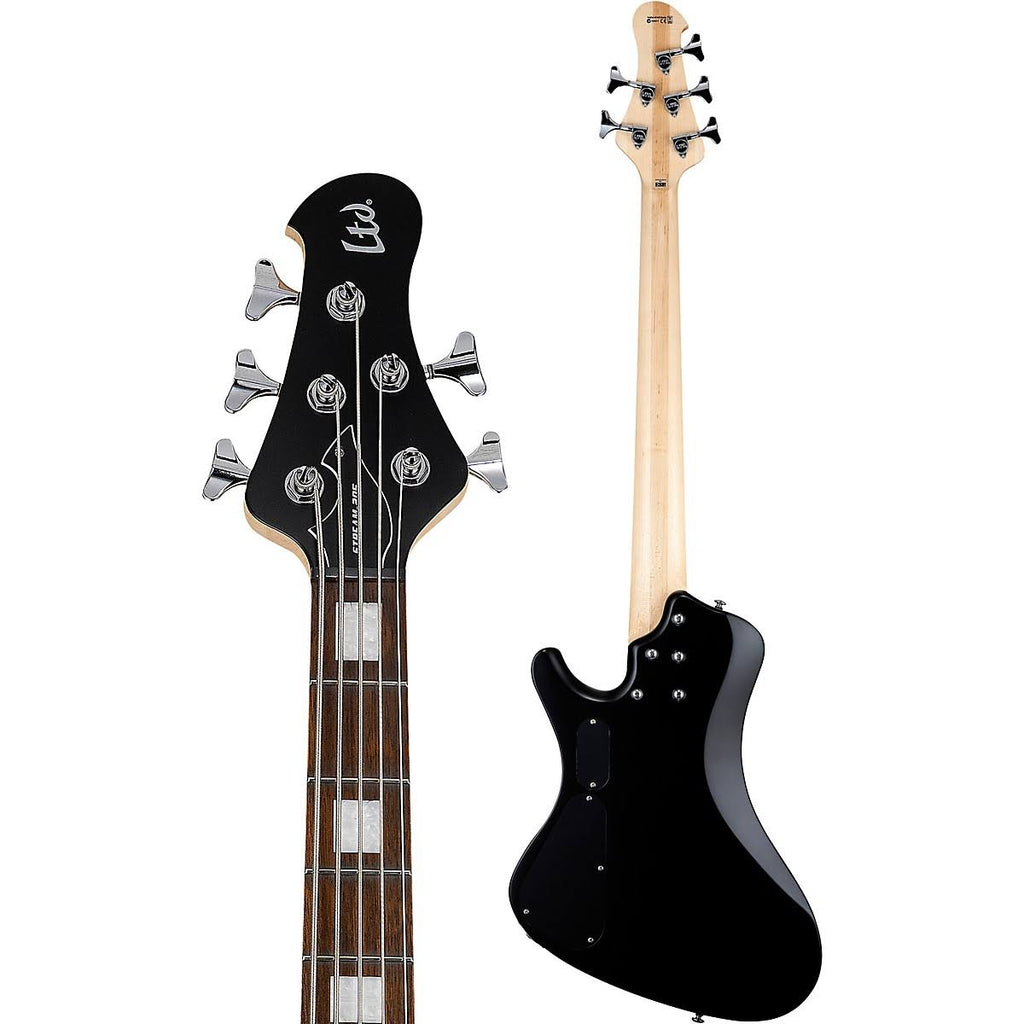 5 String Bass Guitar F8704