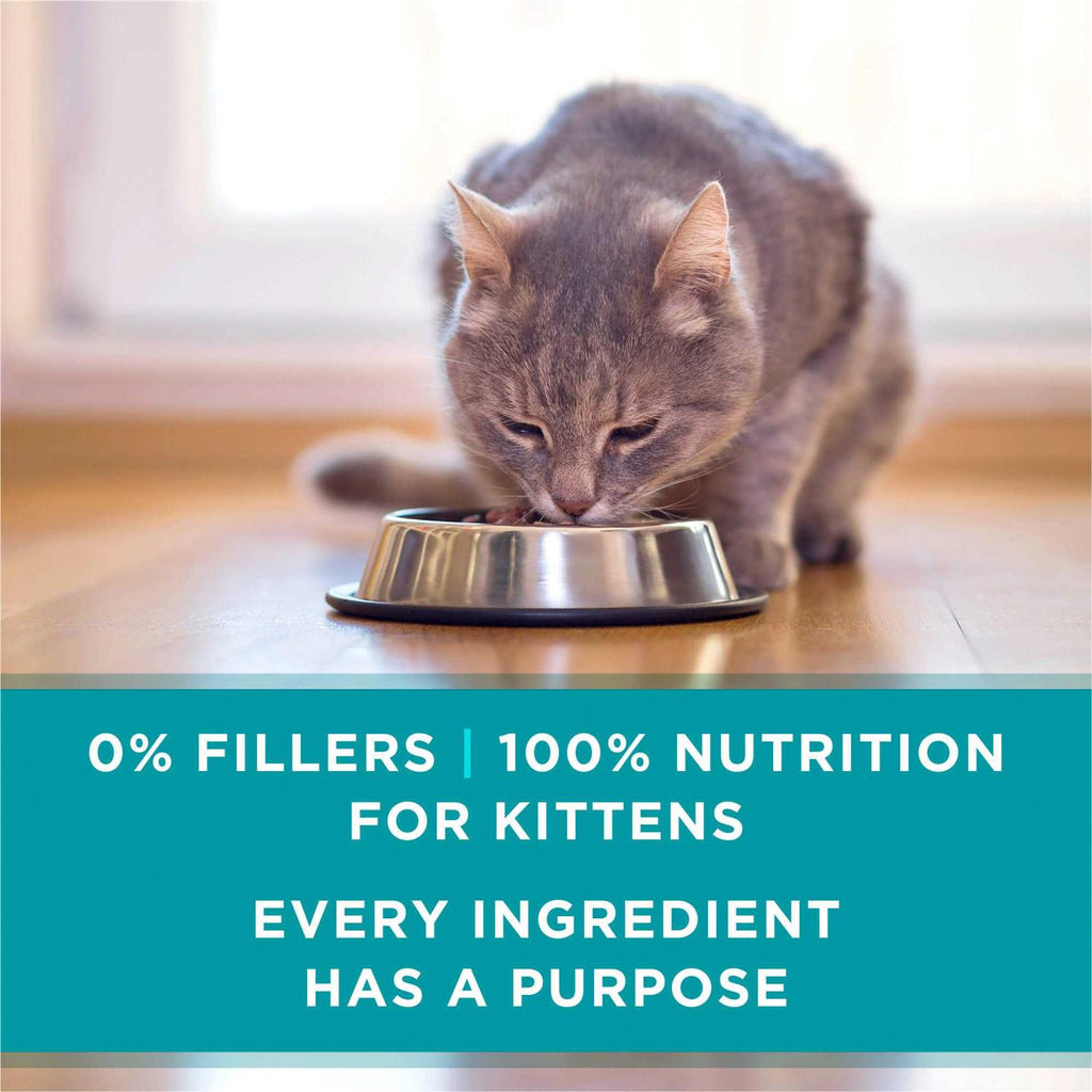 Grain Free Chicken & Salmon Pate Wet Cat Food N527
