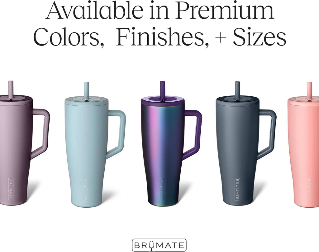 30 oz Stainless Steel Tumbler with Handle and Straw I195