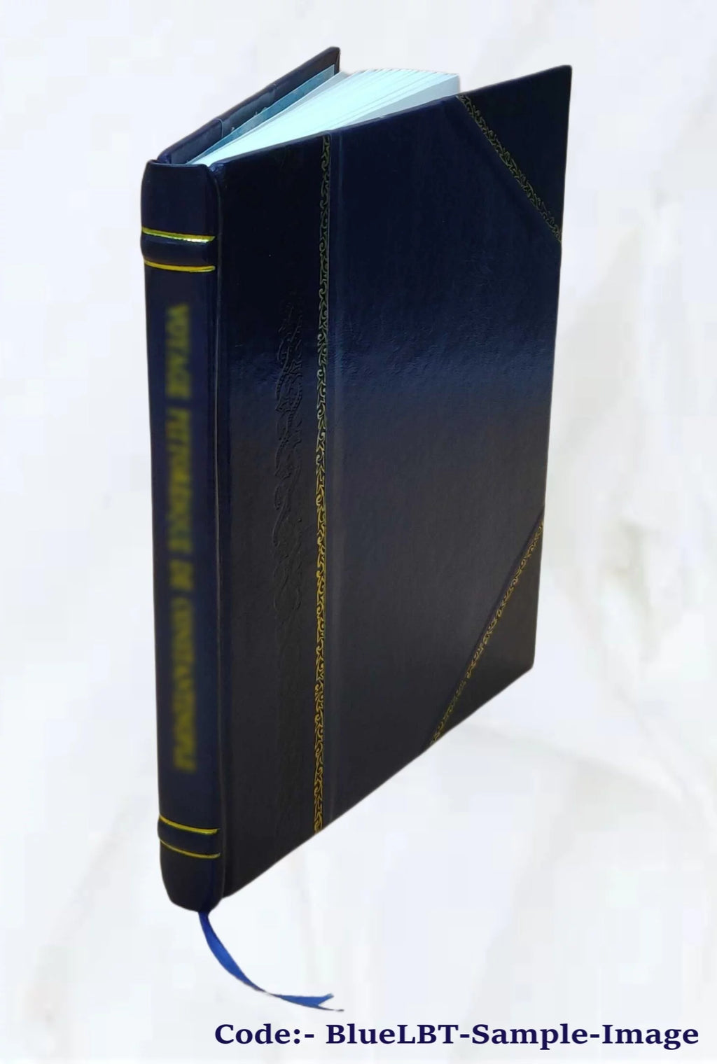 Roman Villas Architecture Leather Bound Q564