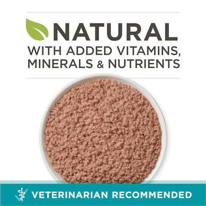 Grain Free Chicken & Salmon Pate Wet Cat Food N527