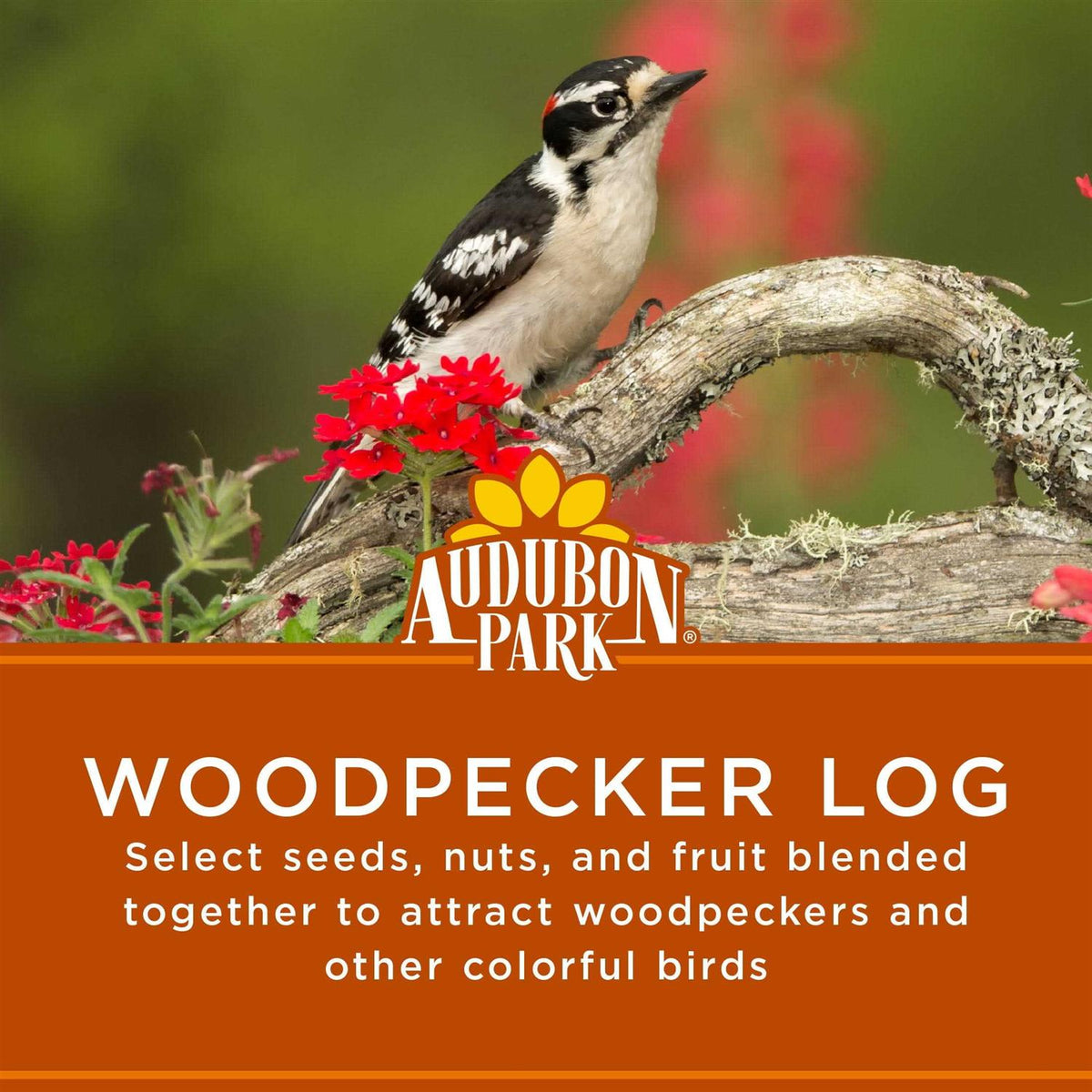 Woodpecker Snack Log Wild Bird Feed B65105