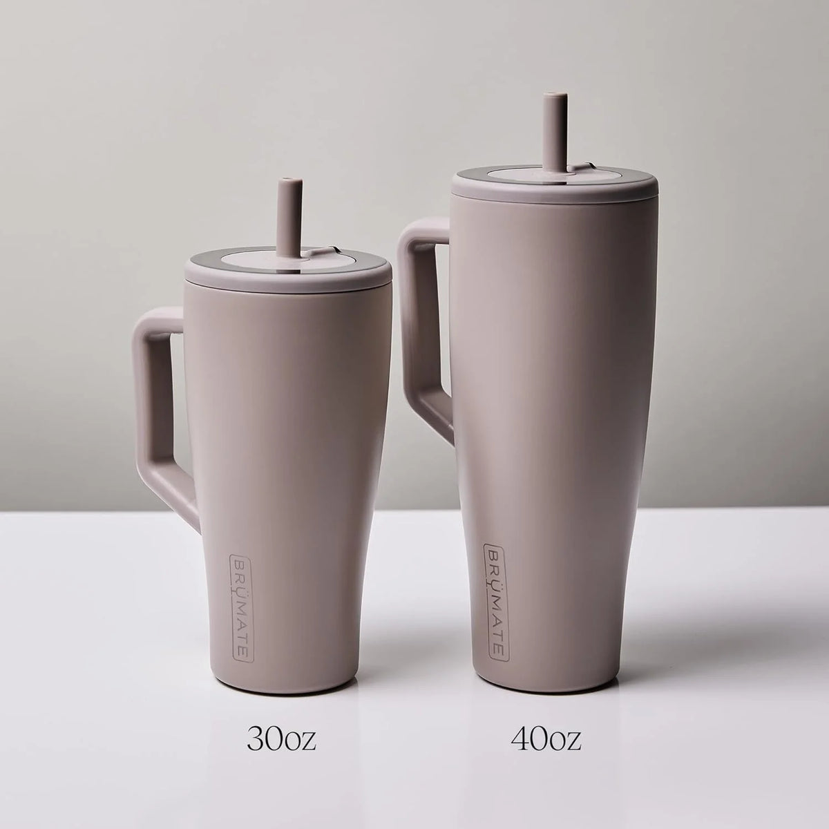 30 oz Stainless Steel Tumbler with Handle and Straw I195