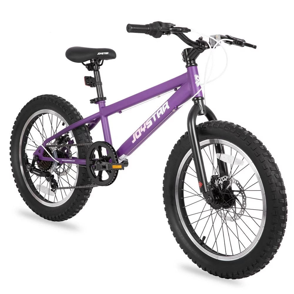 20 Inch 7 Speed Fat Tire Mountain Bike M80725