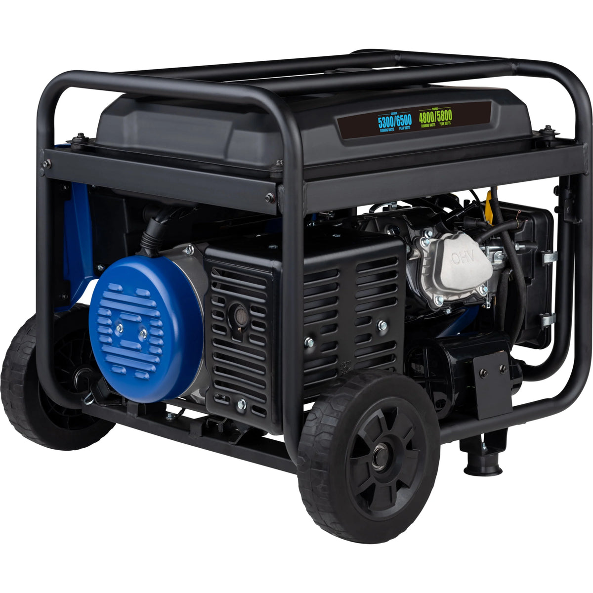 6500 Peak Watt Dual Fuel Portable Generator with CO Sensor V30110