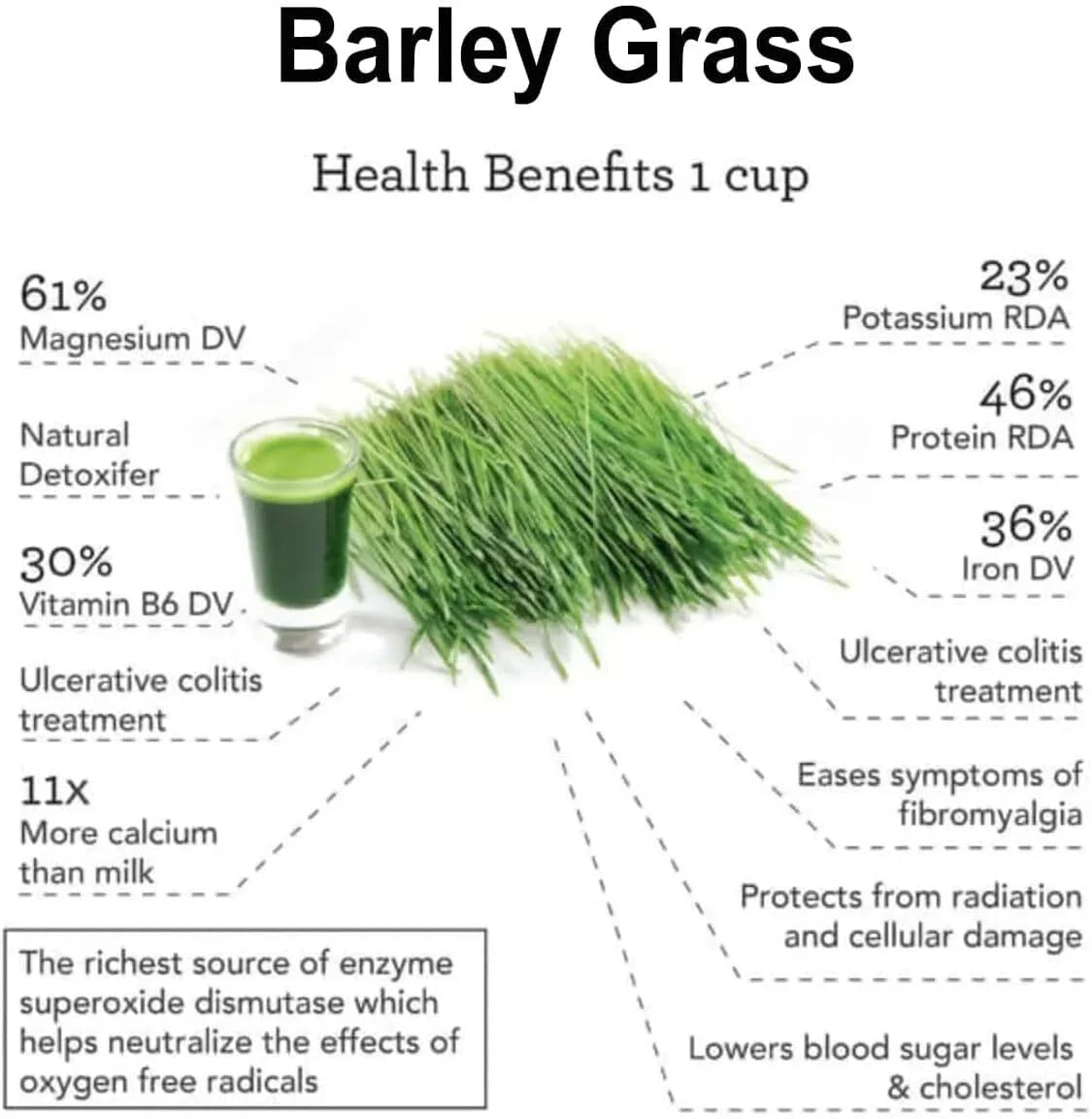 Organic Barley Grass Powder 4 Boxes P5780
