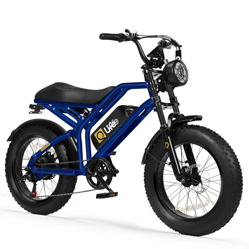 1500W Peak Motor 20" Fat Tires 28MPH Electric Bike with Dual Suspension & Brakes B865