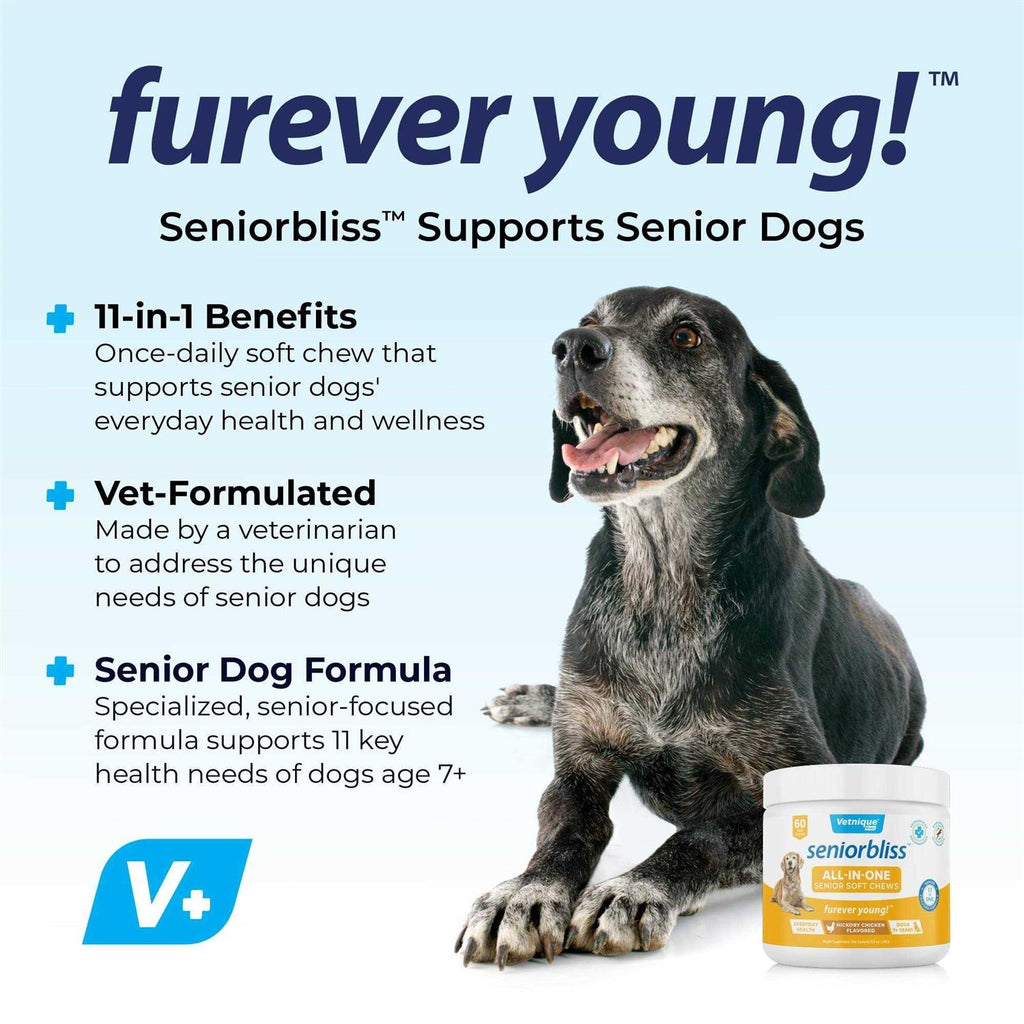 Supplement for Senior Dogs T51146