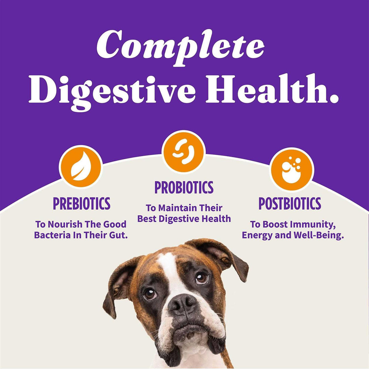 Chicken & Chicken Liver Adult Dry Dog Food F875
