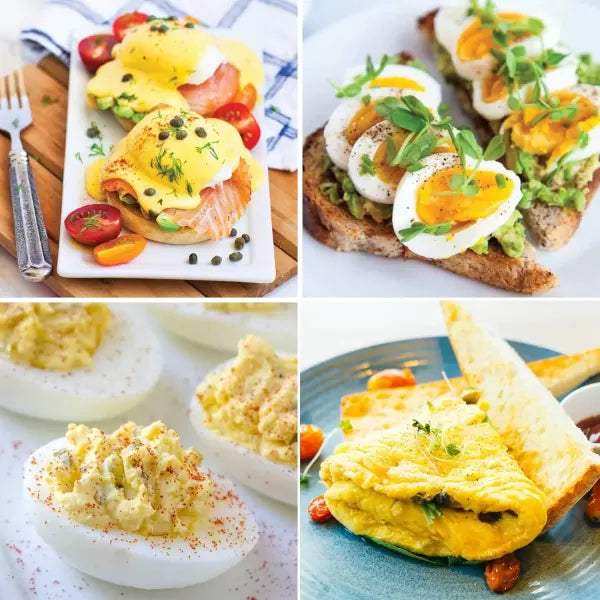 Electric 7 Egg Capacity Cooker T1625