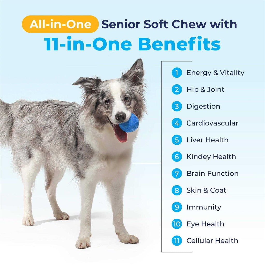 Supplement for Senior Dogs T51146