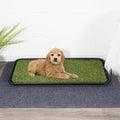 Indoor/Outdoor Non-Slip Tray with Reusable Grass Pad U47259