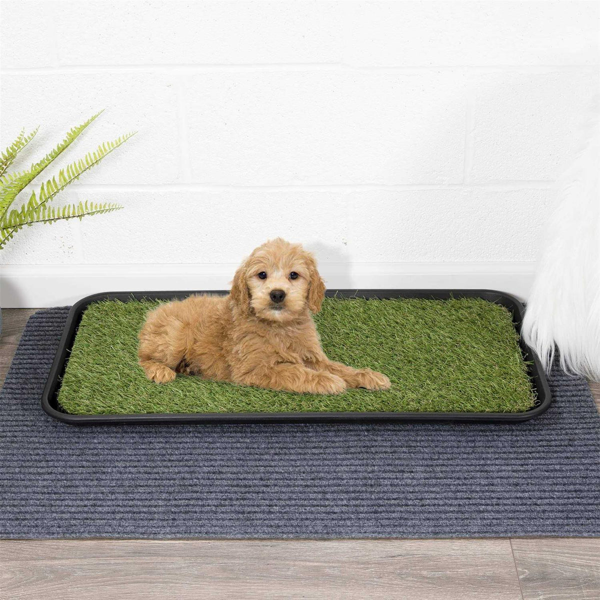 Indoor/Outdoor Non-Slip Tray with Reusable Grass Pad U47259