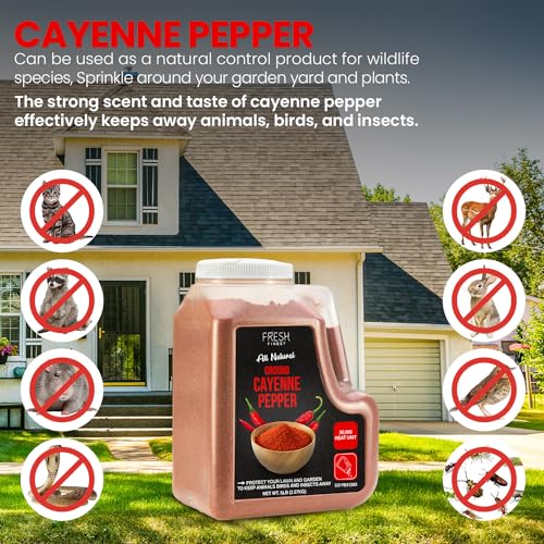 5 LB Cayenne Pepper Powder 50,000 SHU T2408