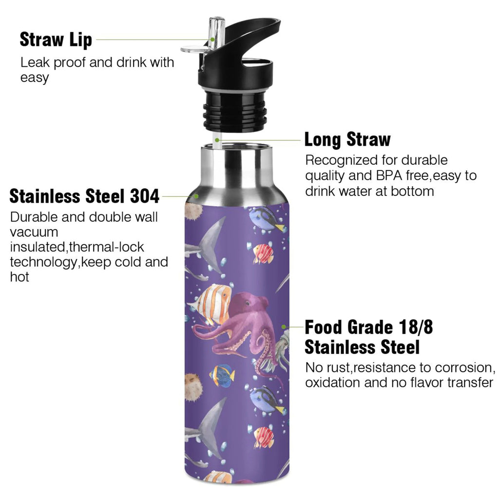 20 OZ Stainless Steel Vacuum Insulated Water Bottle with Straw Lid N6067