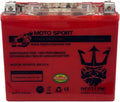 Pack of 2 GEL Battery Replacement 12v20ah P7392