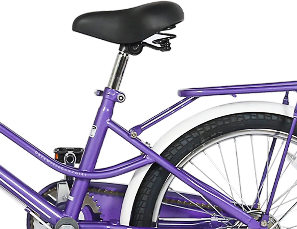Kids 20 inch Bike with Hand Brake and Kickstand, Pink E855