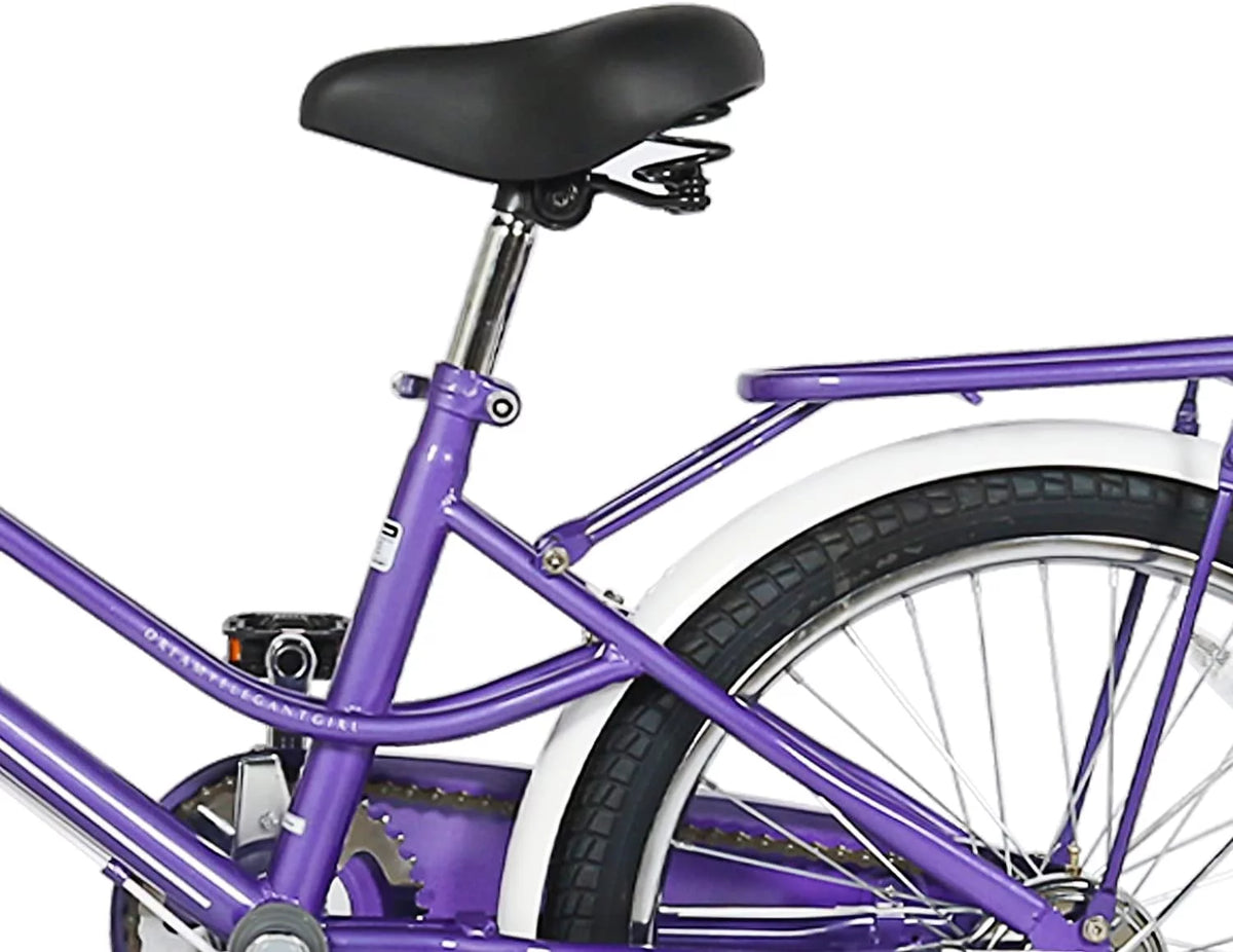 Kids 20 inch Bike with Hand Brake and Kickstand, Pink E855