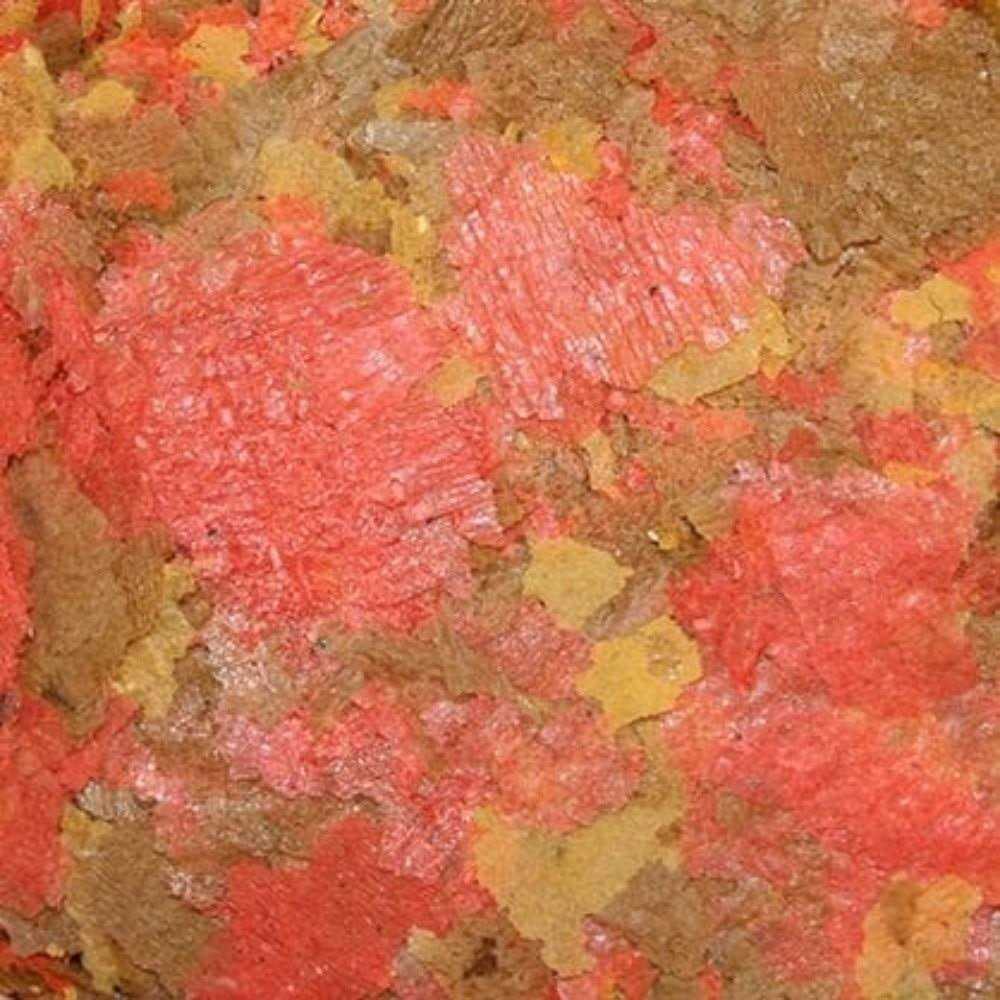 Freshwater Flakes V355