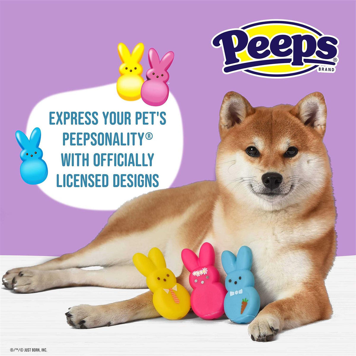 Dog Toy K8989